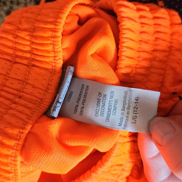 Champion - Picture 4 of 4